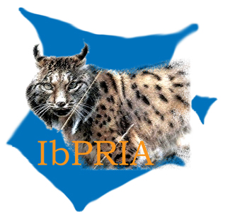 Iberian  Pattern Recognition and Image Analysis International Conference